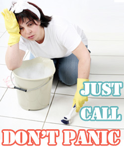 Tile And Grout Cleaners